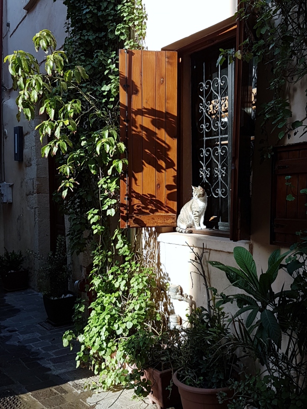 Cat in Kastelli window