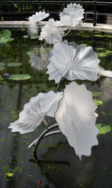 Ethereal White Persian Pond in the Lily house Dale Chihuly at Kew Gardens