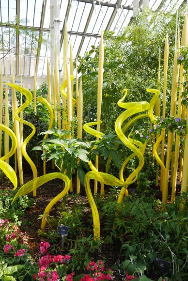 In the temperate house, Dale Chihuly at Kew Gardens